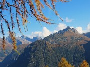 36 Spettacolo di panorami e di larici colorati d'autunno